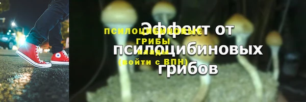бошки Рославль