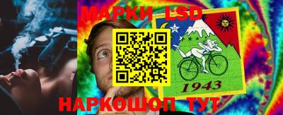 прущие крисы Нальчик