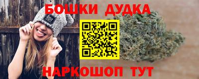 прущие крисы Нальчик