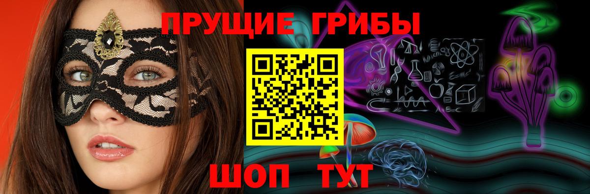Псилоцибиновые грибы Psilocybine cubensis Тула